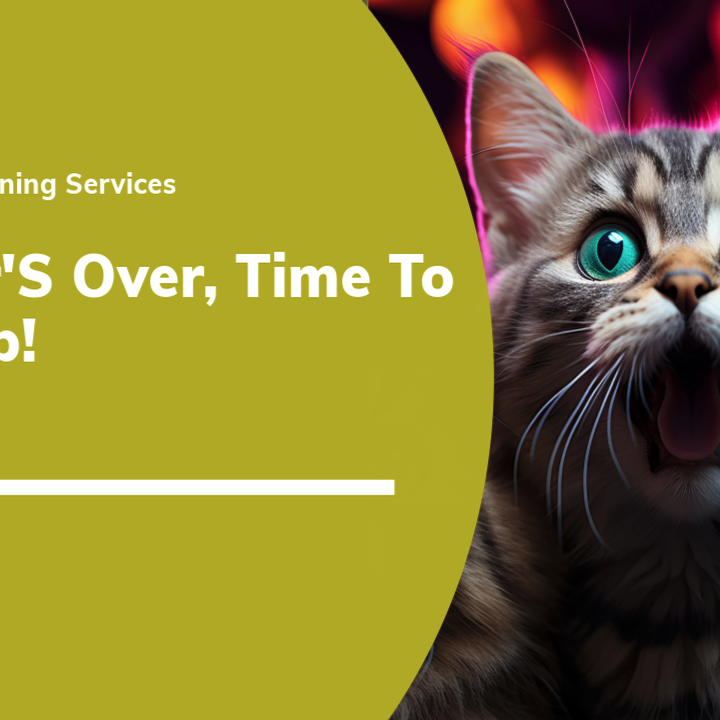 In home organizing and Cleaning Image