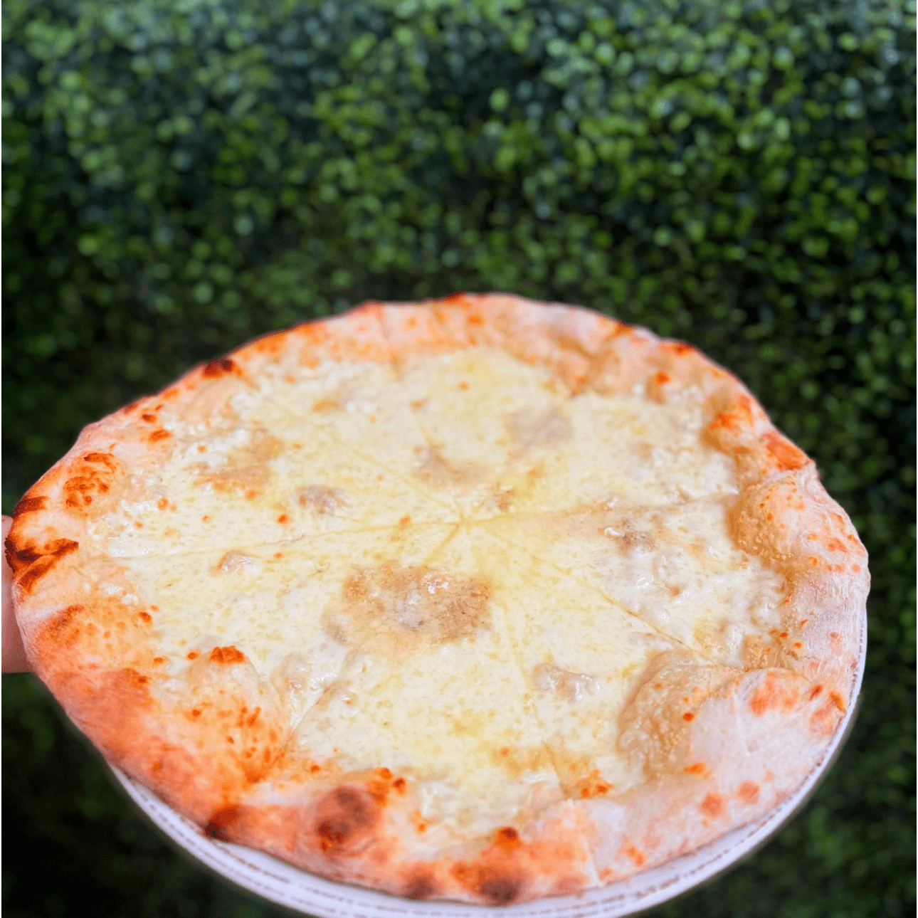 Pizza Four Cheese