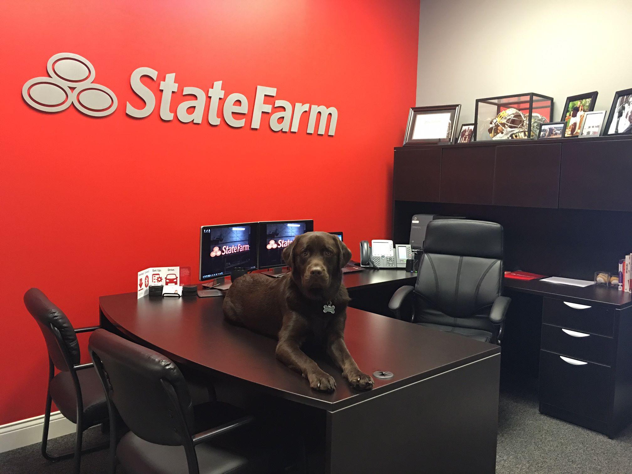 Stephen Willett - State Farm Insurance Agent Photo