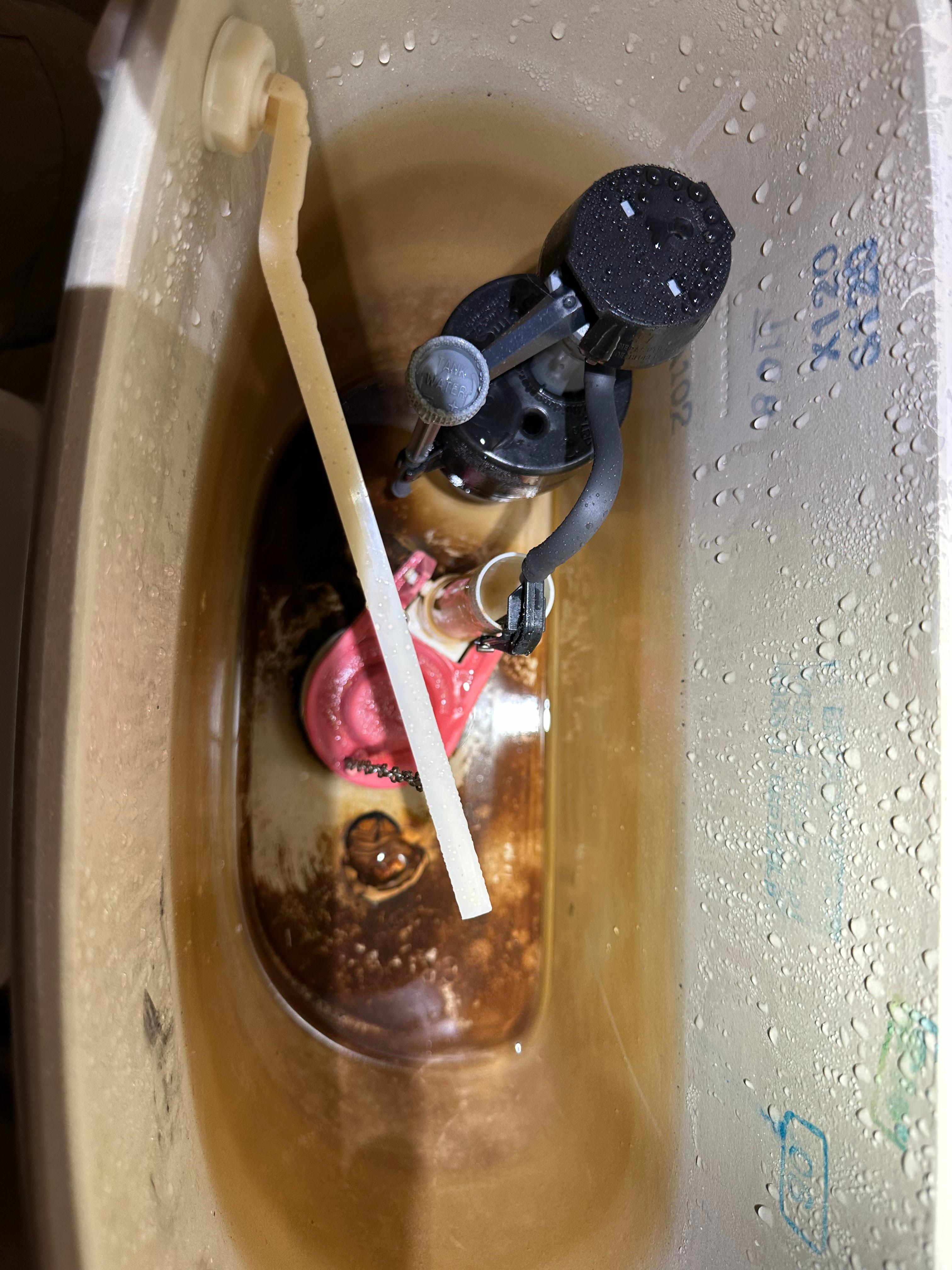 True Blue Plumbing Services Image