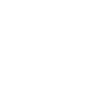 always superb transport