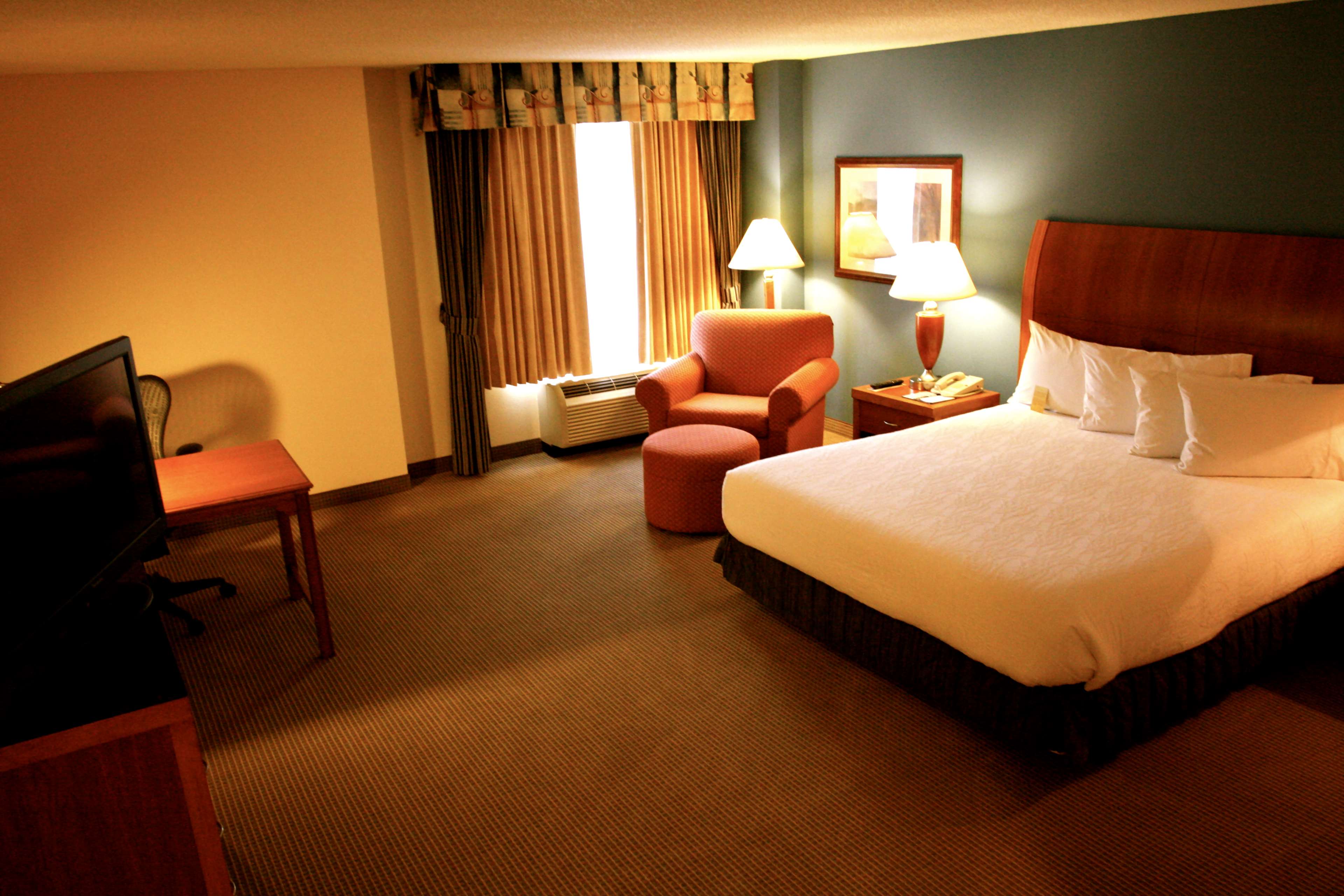 Hilton Garden Inn Albany Photo