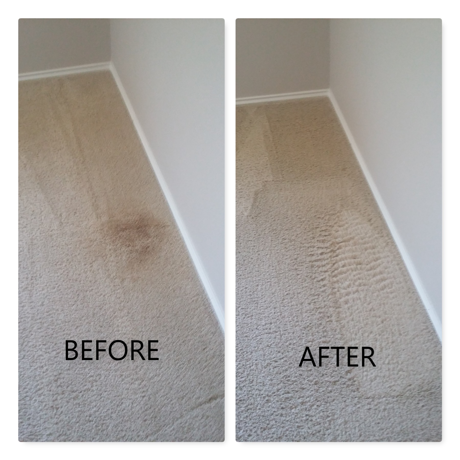 QuikDri Carpet Cleaning LLC Photo