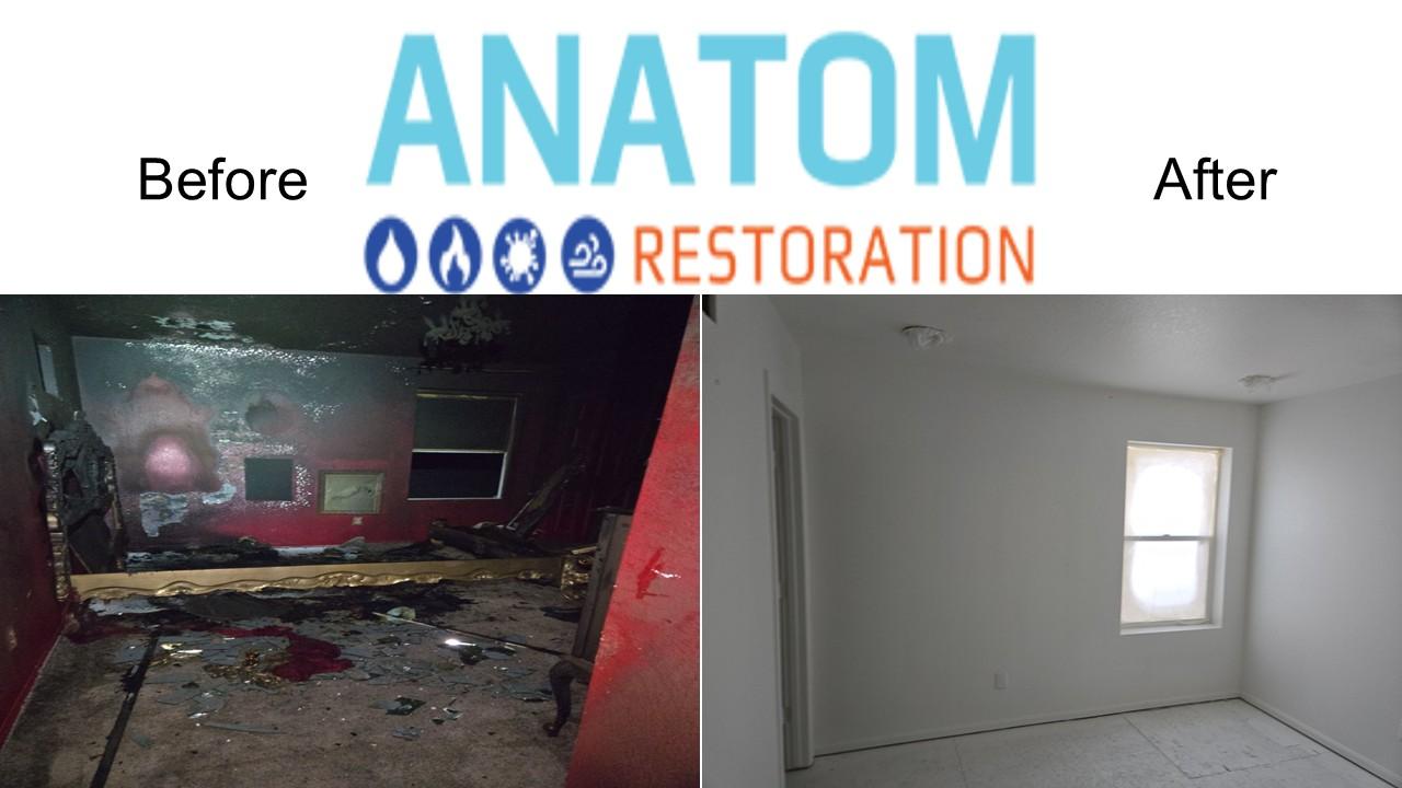 Anatom Restoration Image