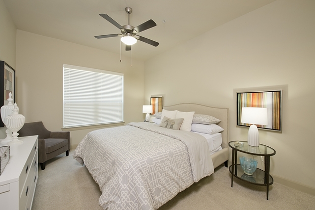 Images Domain by Windsor
