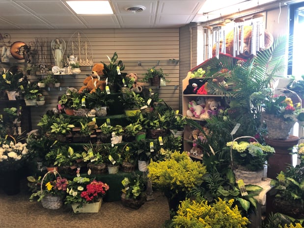 Images Affordable Flowers