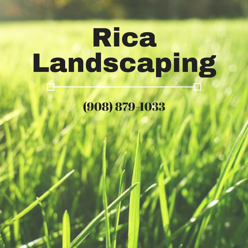 Rica Landscaping Logo