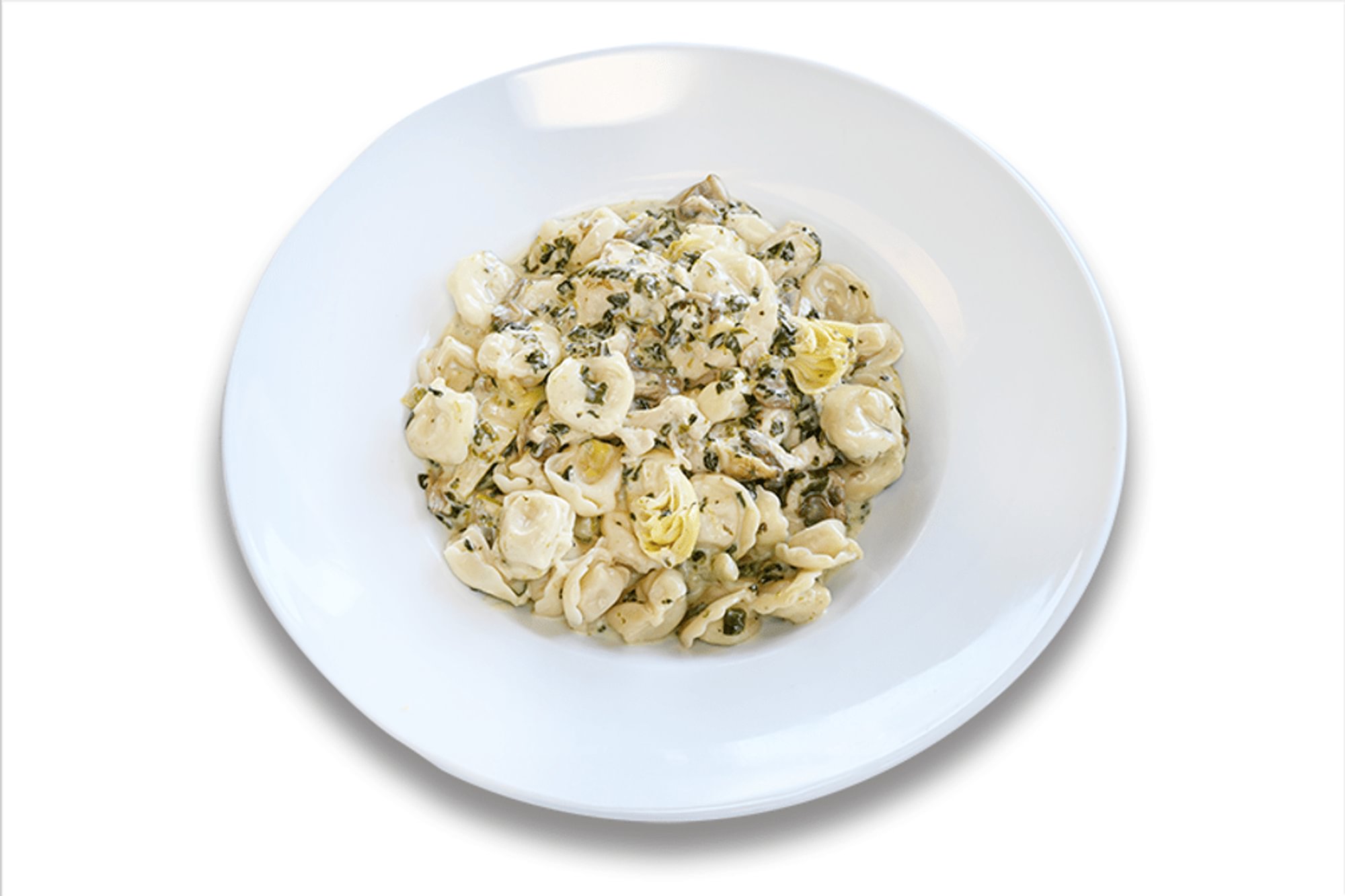 Cheese Tortellini Fiorentino Pasta
