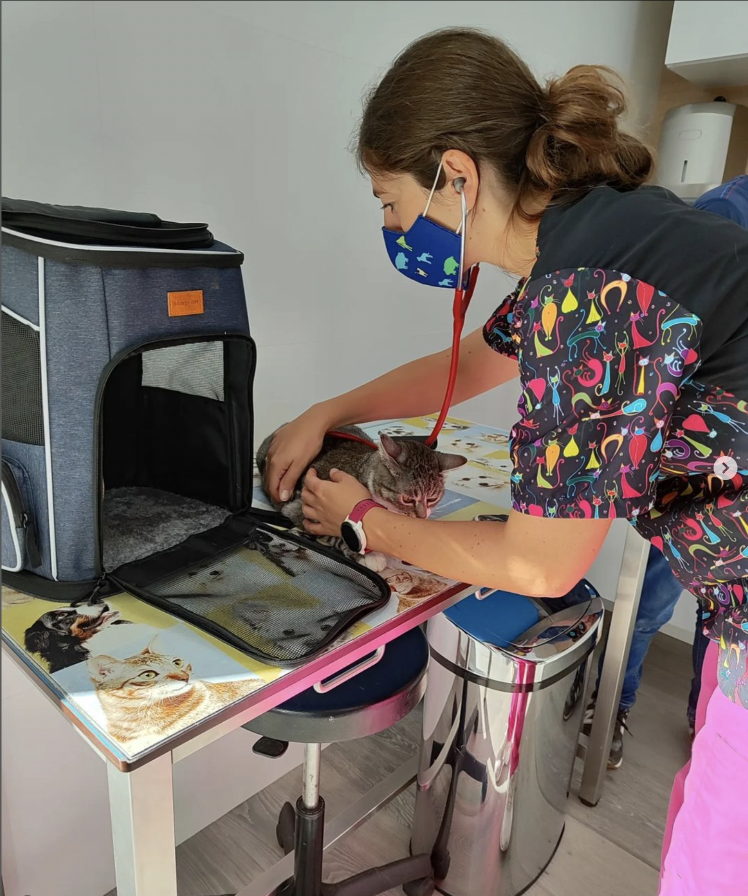 Galería en miniatura