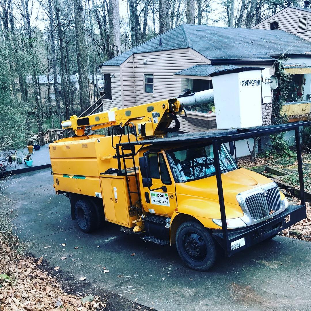 TreeDog Atlanta Services LLC Image