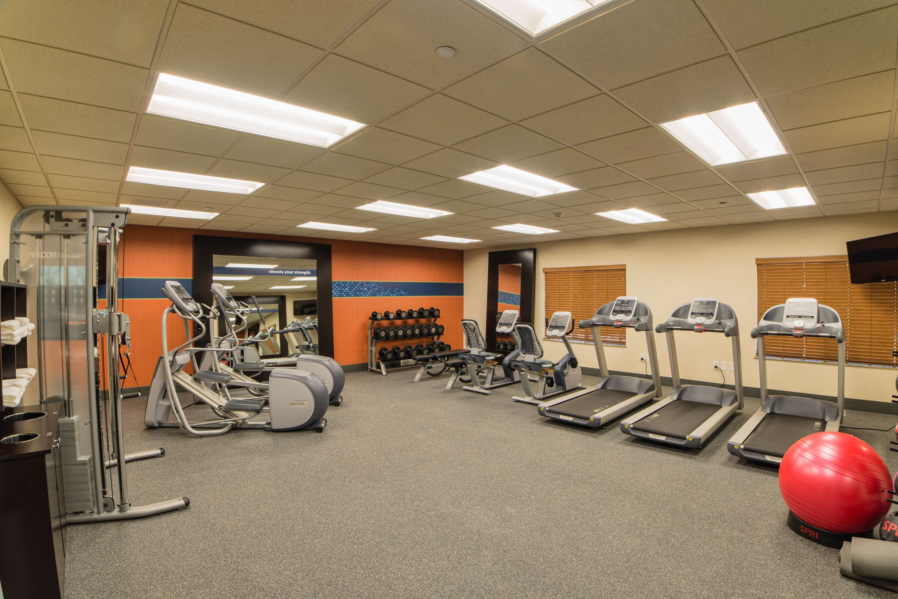 Health club  fitness center  gym