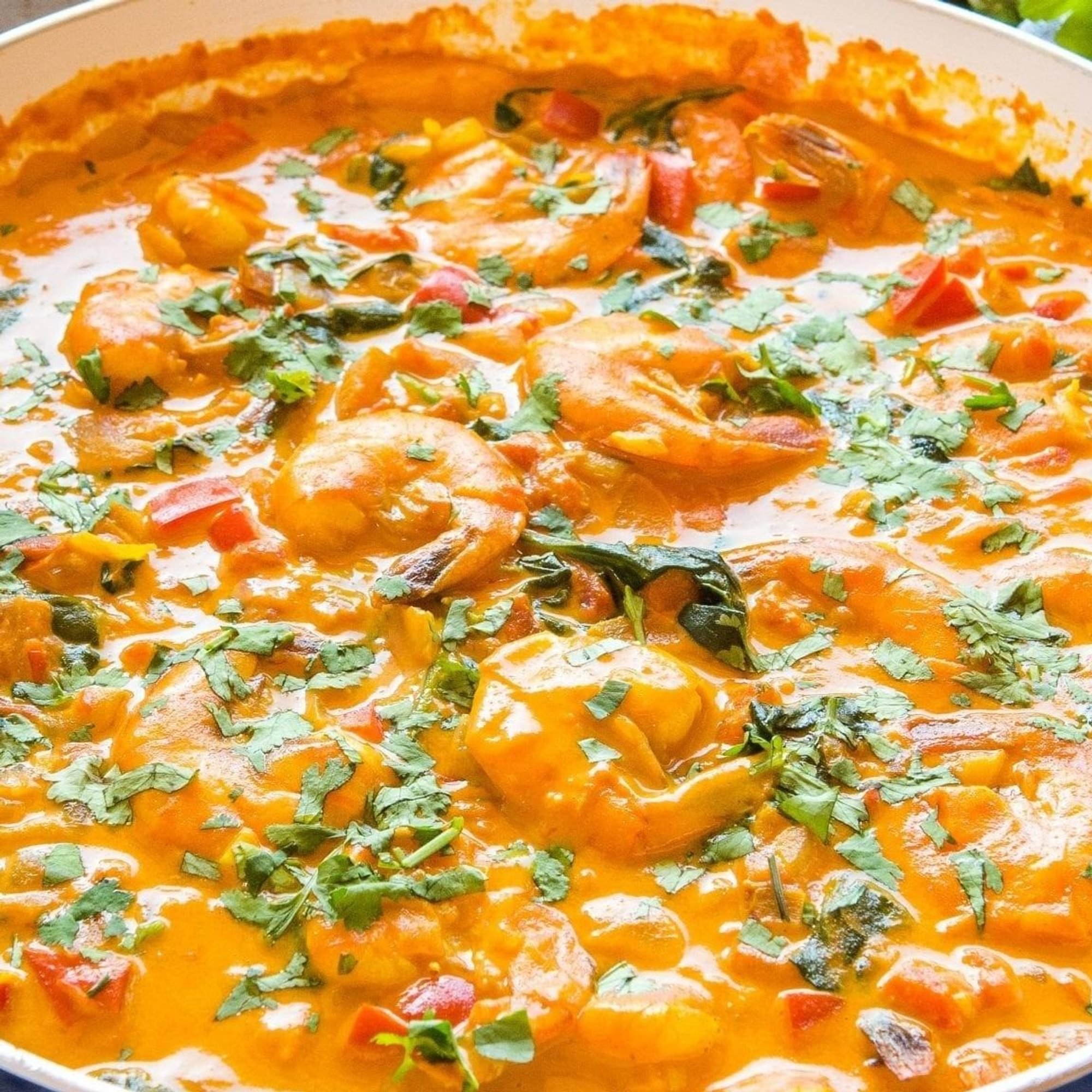 Shrimp Curry