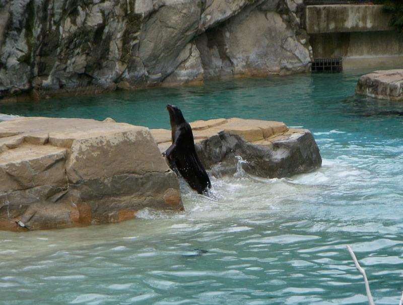 Hampton Inn Columbia-Downtown Historic District Photo