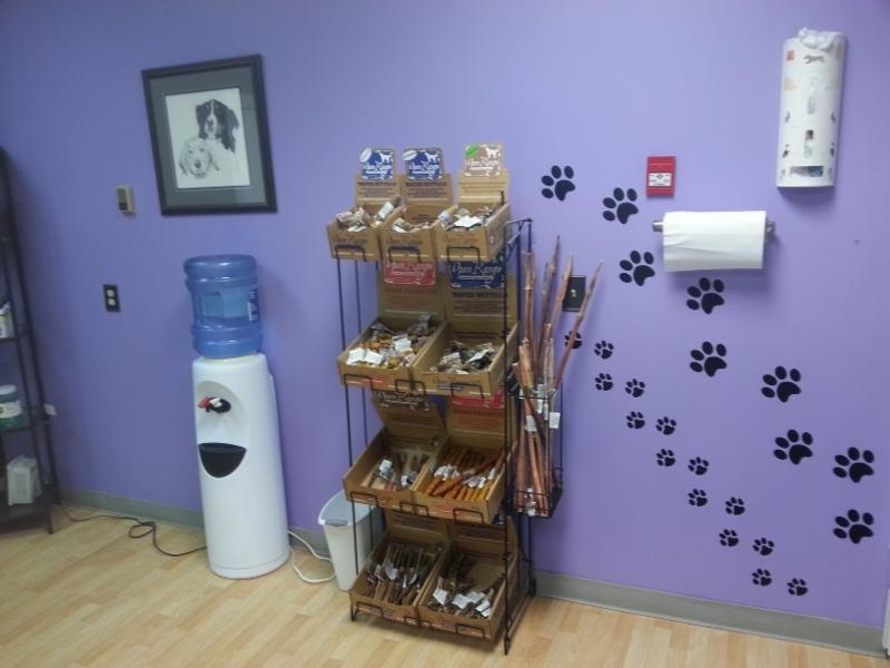 Images 4 Paws Grooming