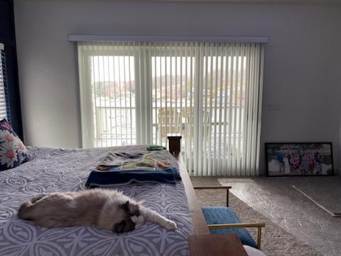 Such a happy puppy! Maybe it's because our Smart Drapes filter the light to make this Waterloo bedroom such a comfortable and restful space.  BudgetBlindsCedarFallsWaterloo  WaterlooIA  SmartDrapes  FreeConsultation  WindowWednesday