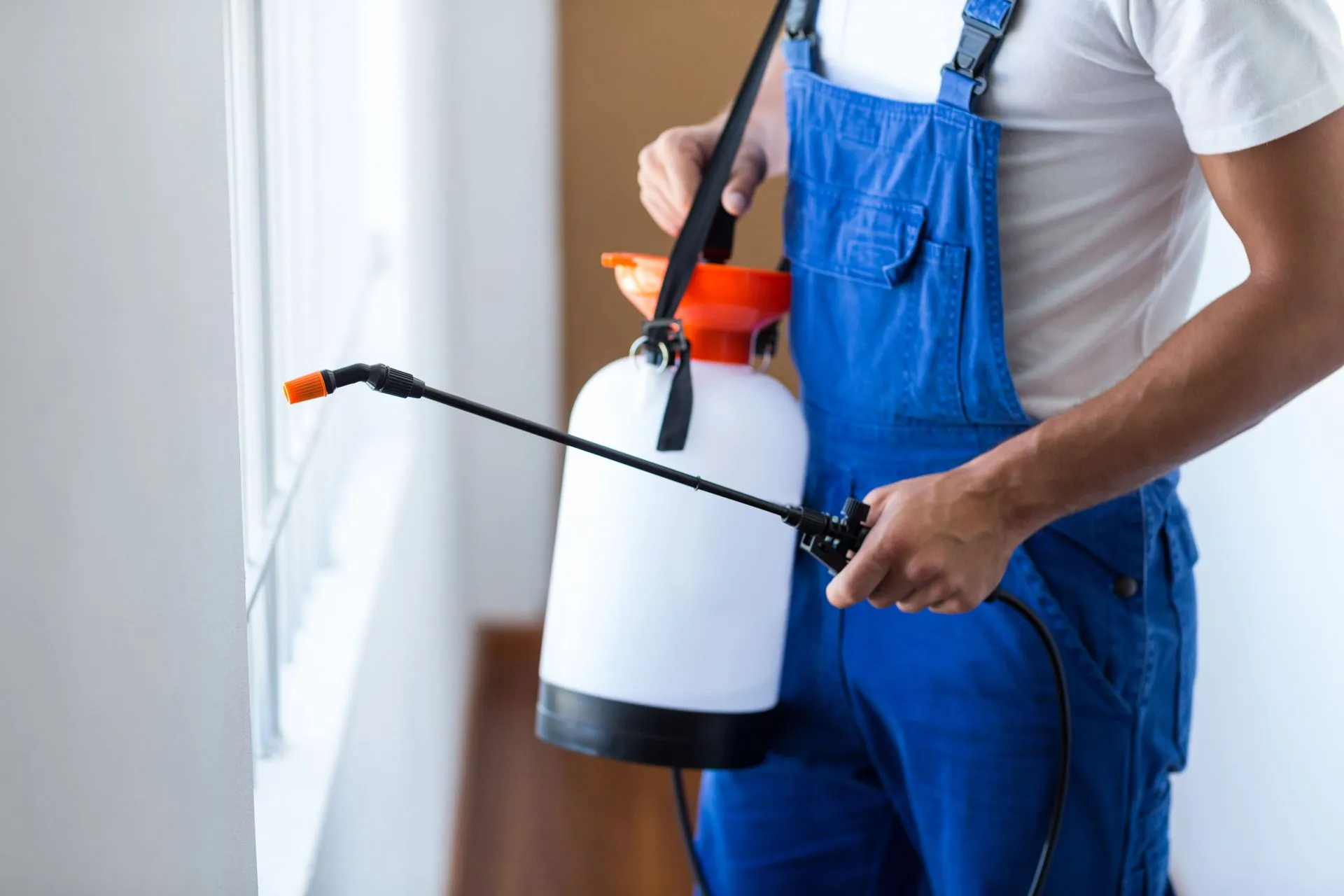 Specialized Pest Control Services