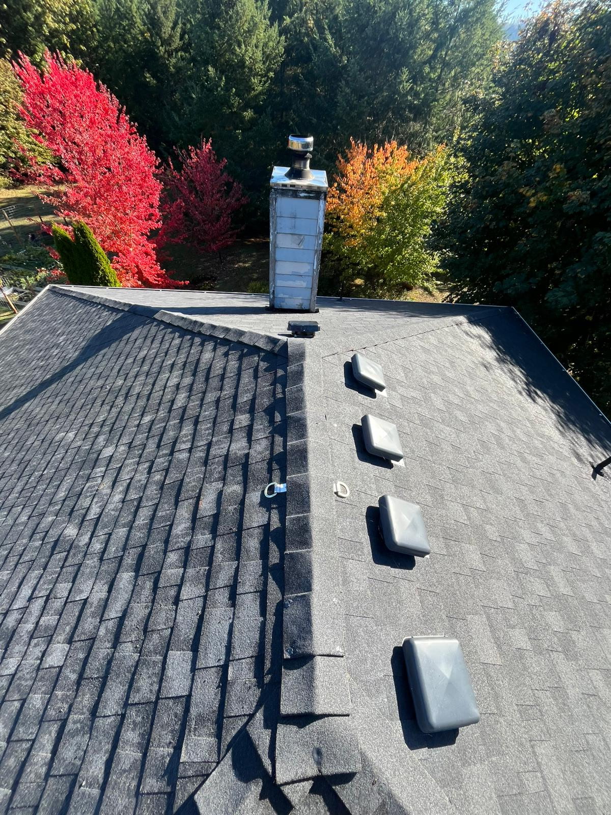 Family Tree Construction LLC Image