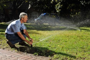 Andy's Sprinkler, Drainage & Lighting Photo