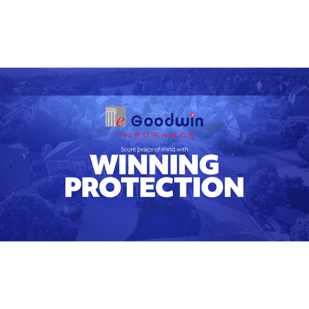 eGoodwin Insurance Logo