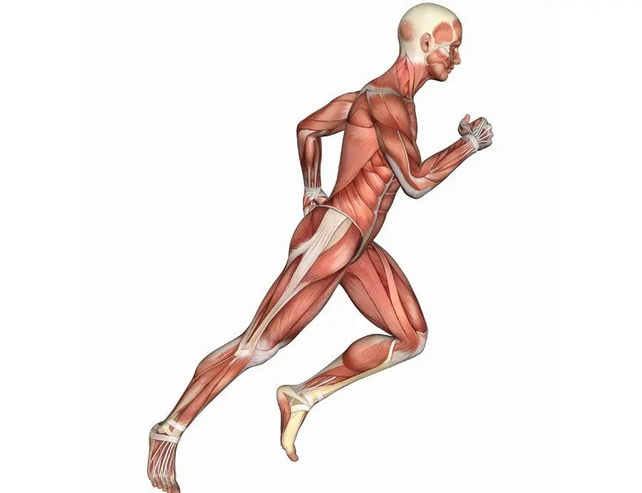 QC Kinetix (Fall River) Image