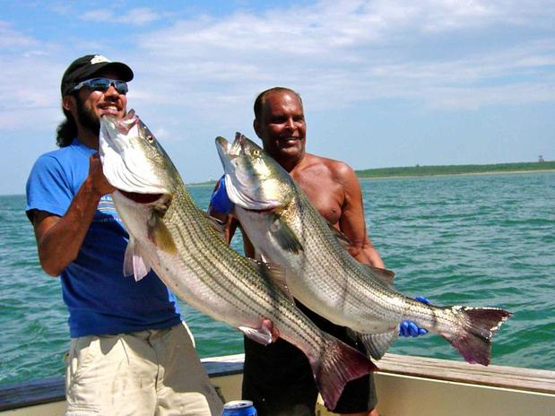 Images Captain Art's Fishing Charters