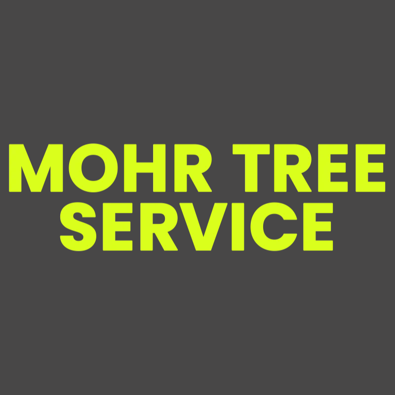 Mohr Tree Service