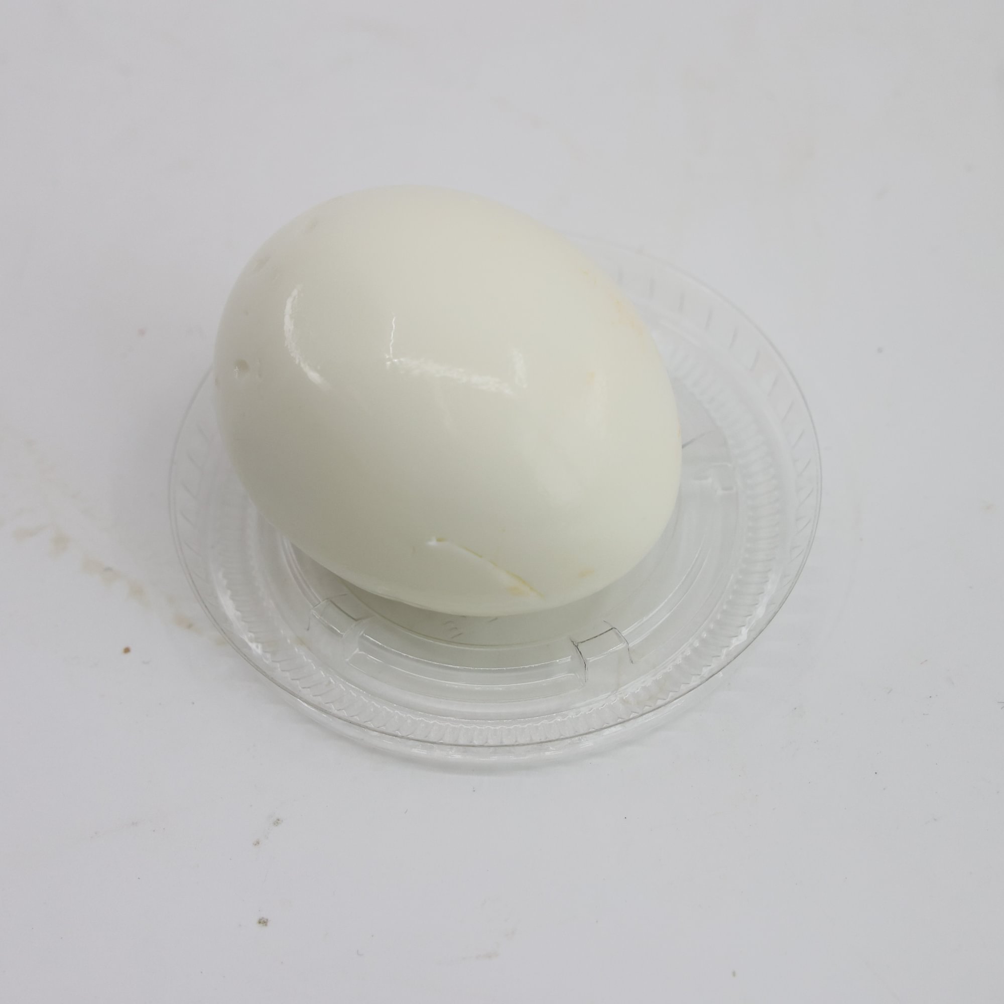 Egg