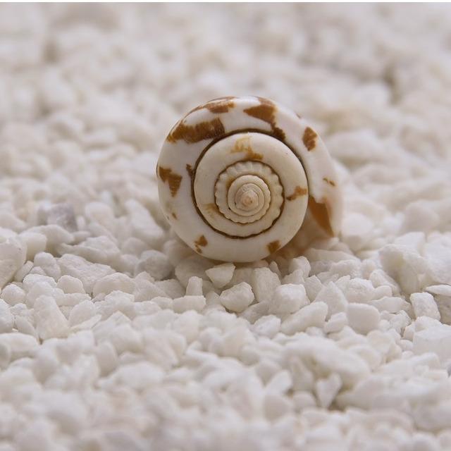 Eternail Nail &amp; Spa Logo