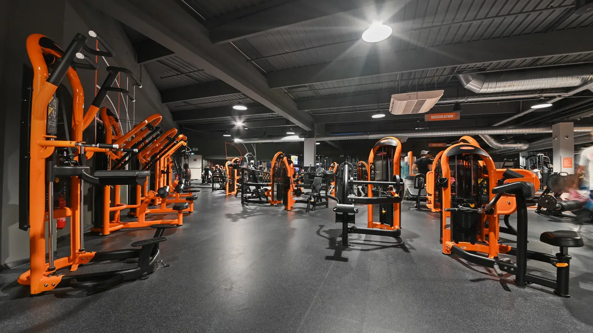 Miniature de la galerie