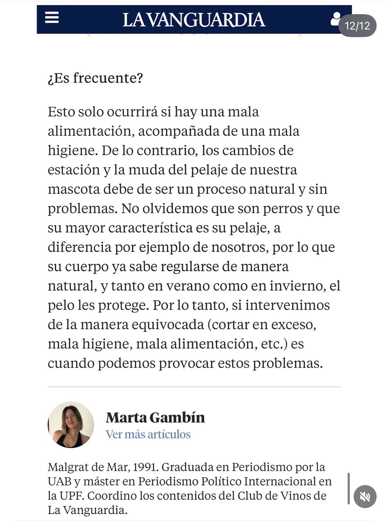 Galería en miniatura