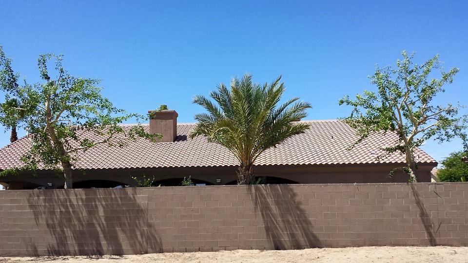 Pendleton Tree Service Yuma, AZ Business Profile