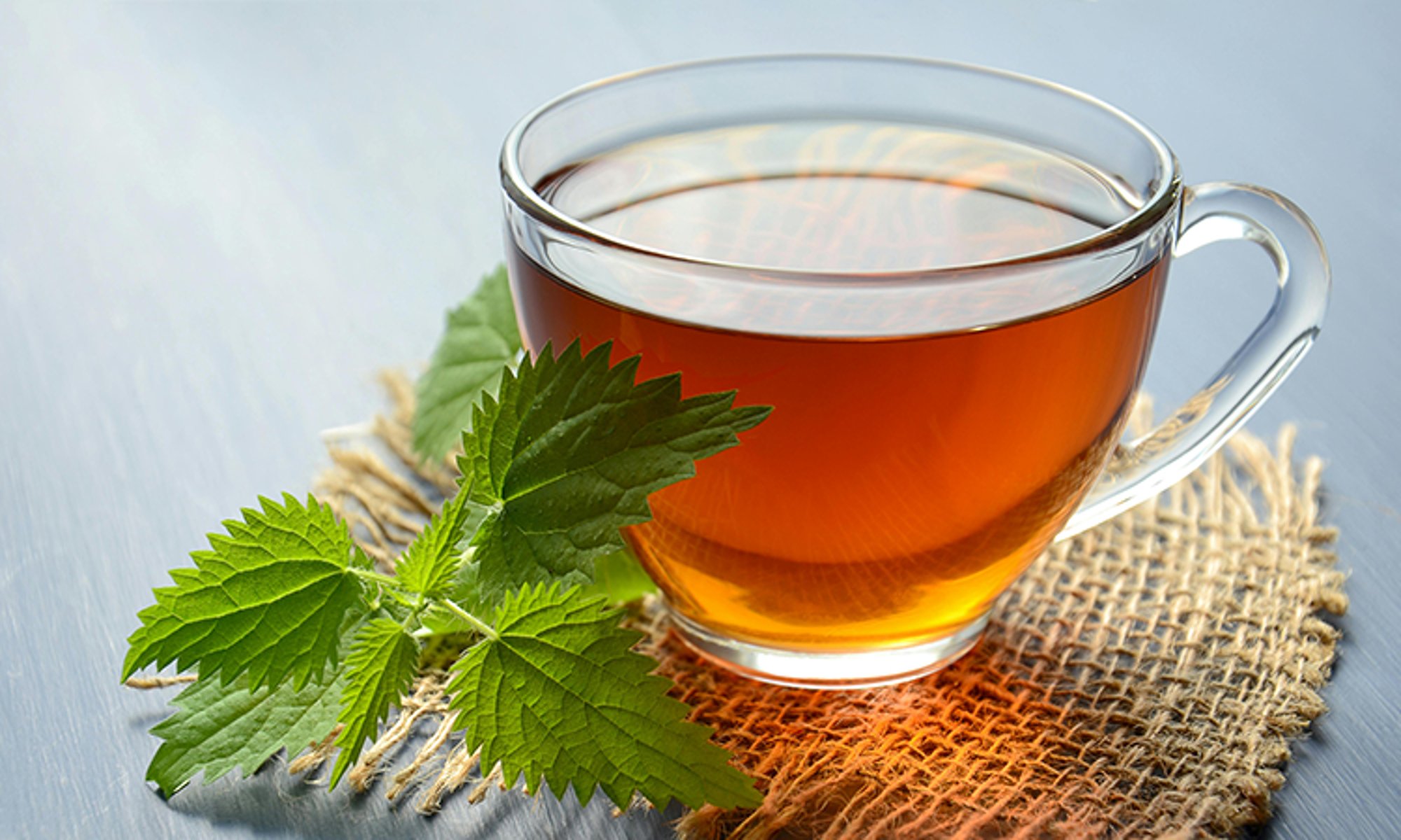 HOT TEA (ASSORTED)