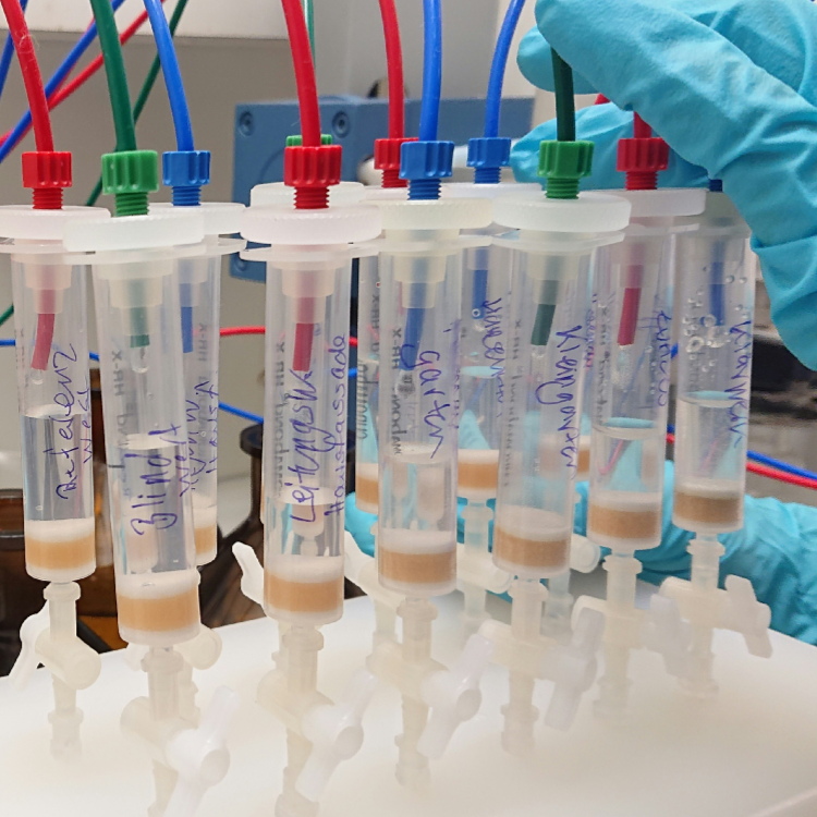 Galería en miniatura