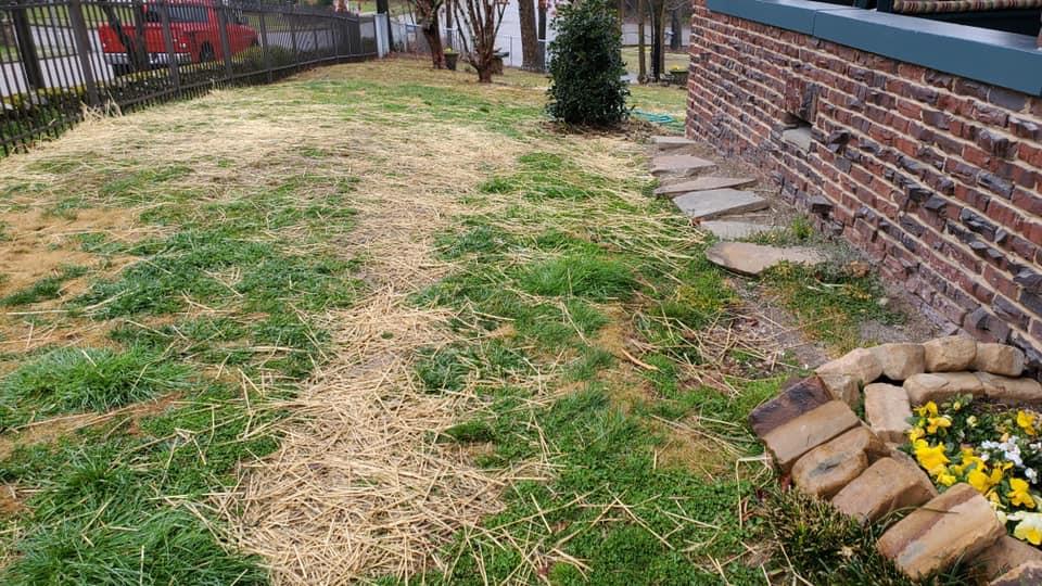 Chattanooga Landscaping Pros Image