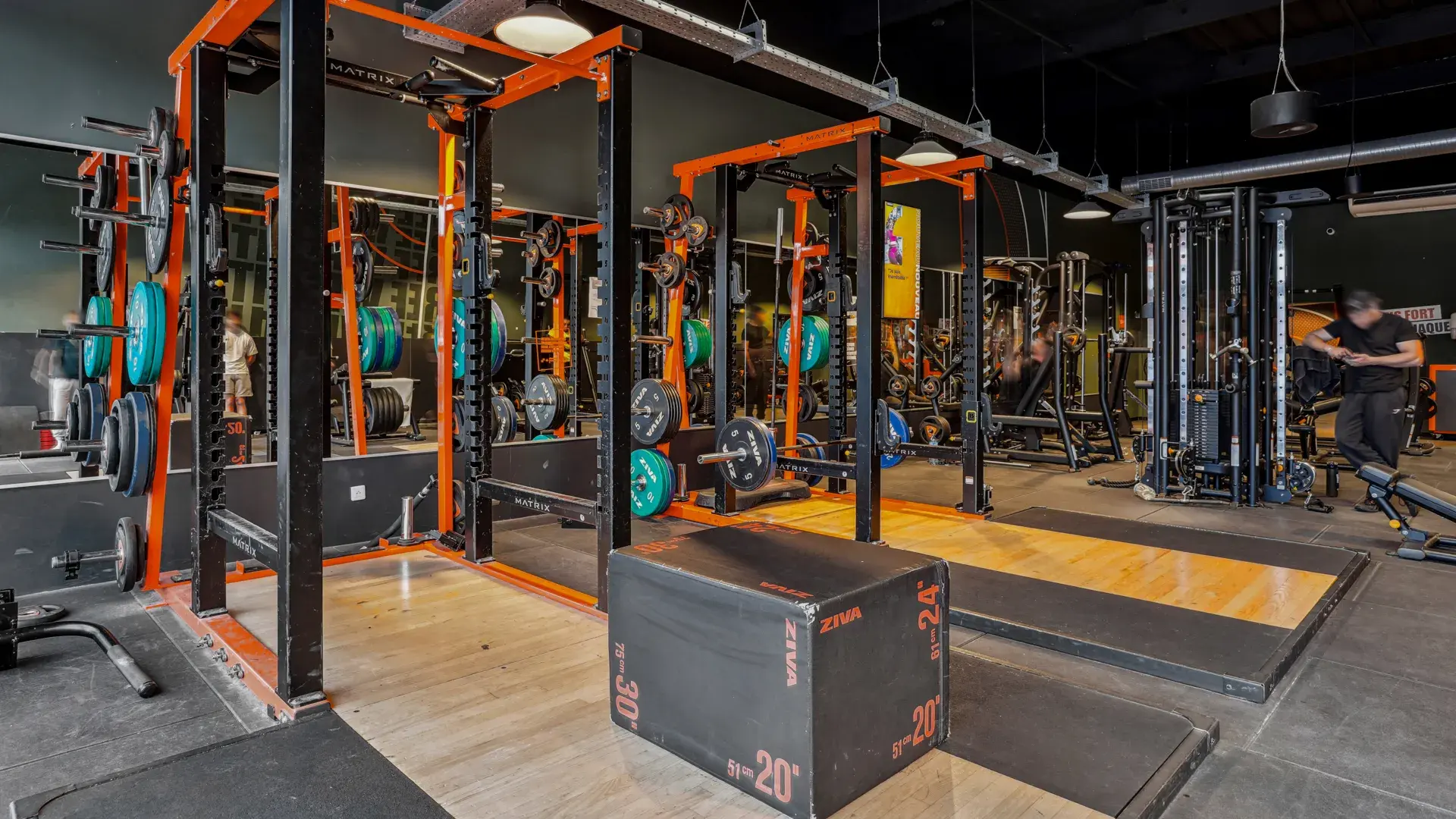 Miniature de la galerie