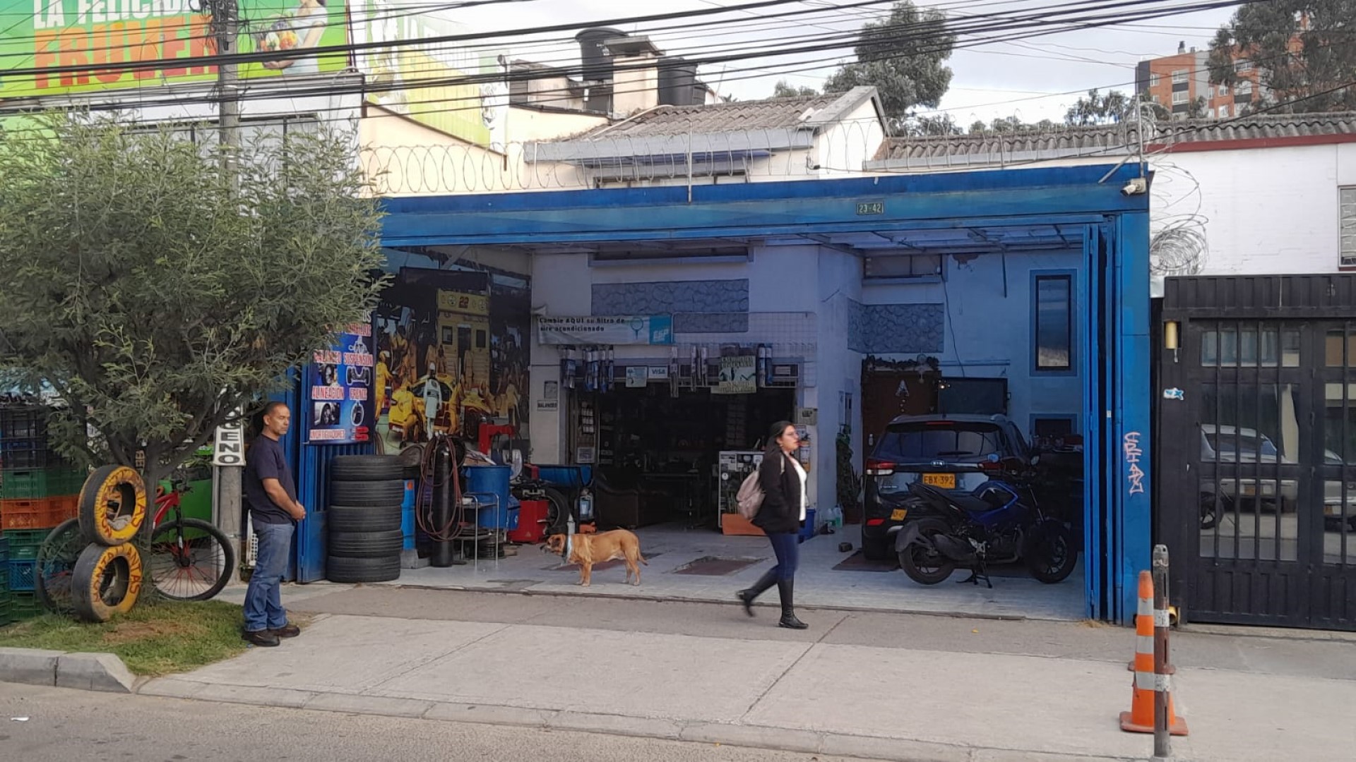 Galería en miniatura