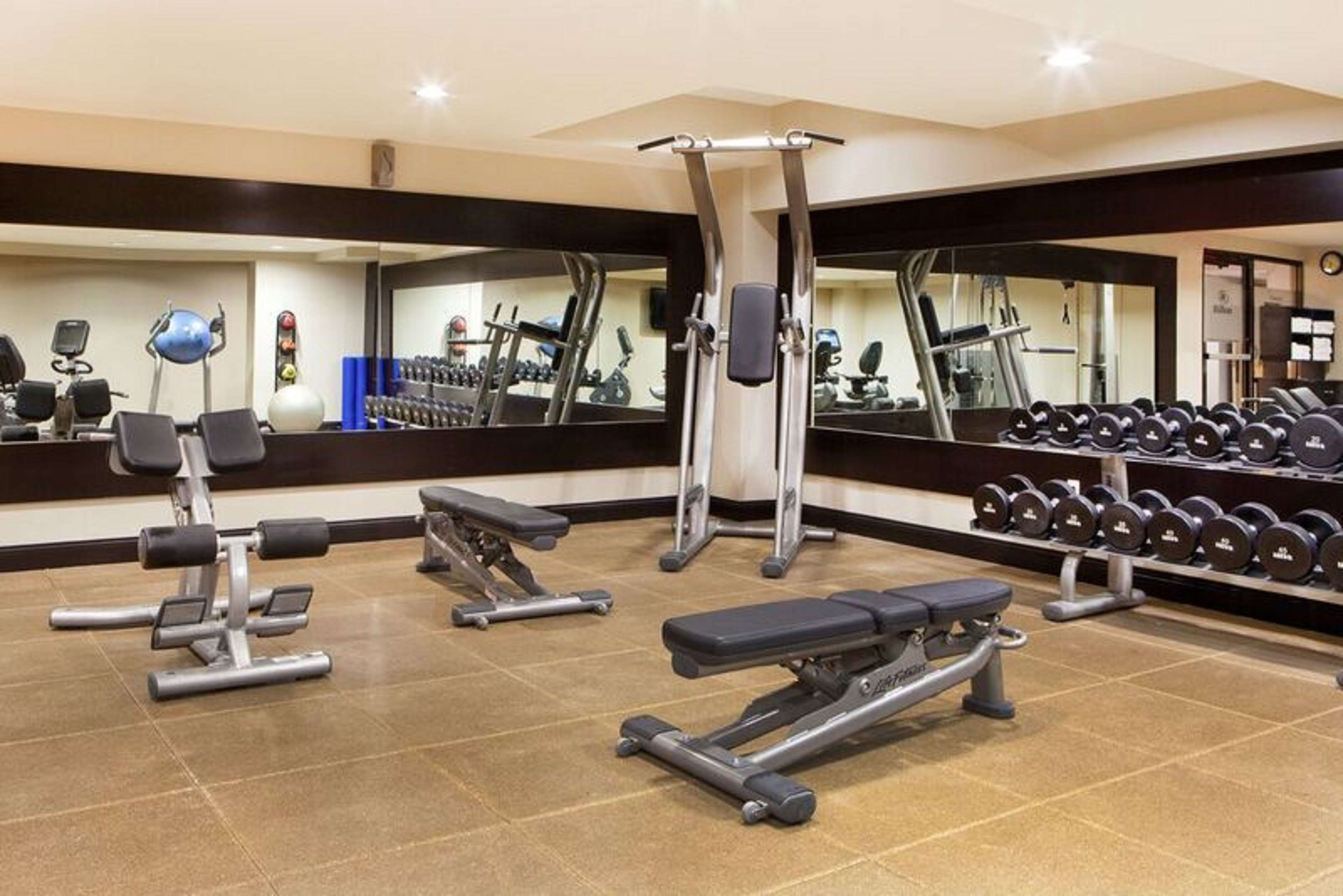 Health club  fitness center  gym