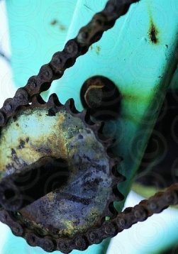 Gallery thumbnail