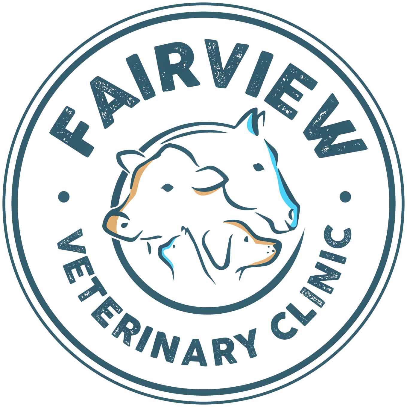 Fairview Veterinary Clinic LLC