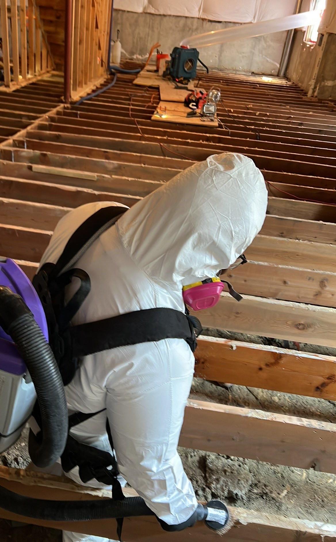 Water Damage, Inc. Image