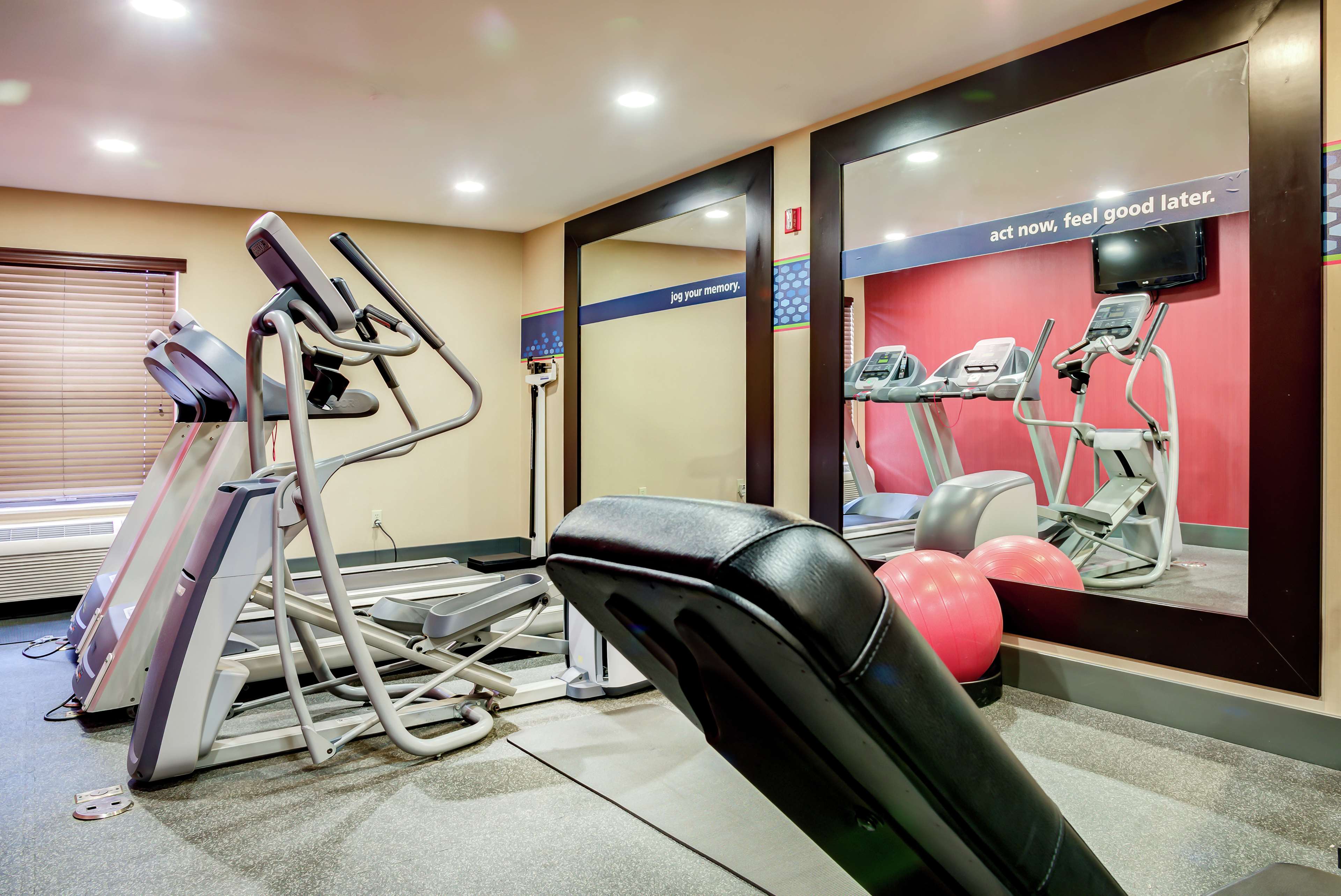 Health club  fitness center  gym