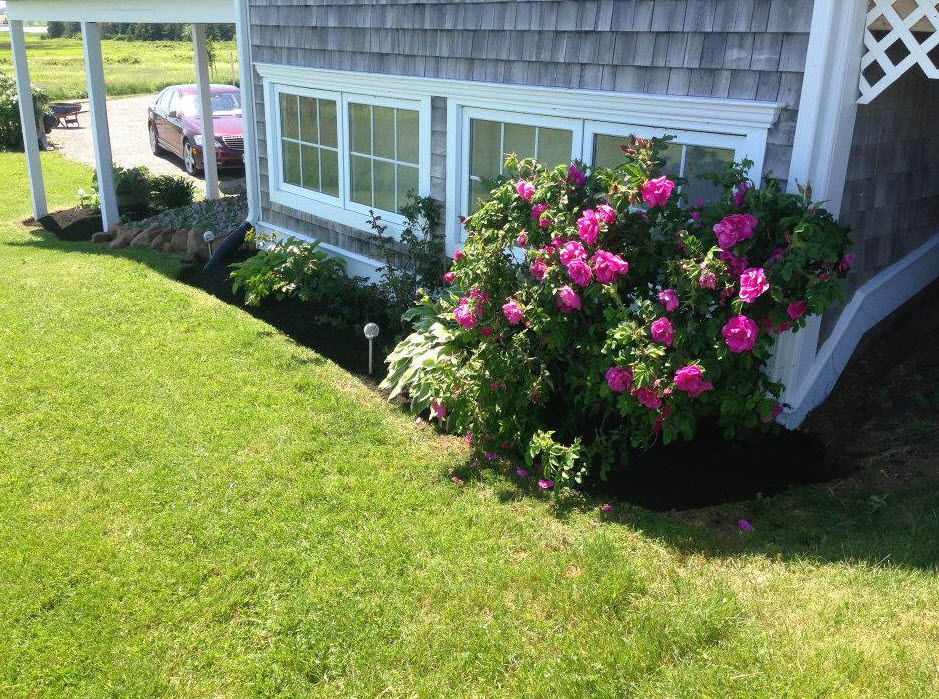 Images Exact Lawn Care