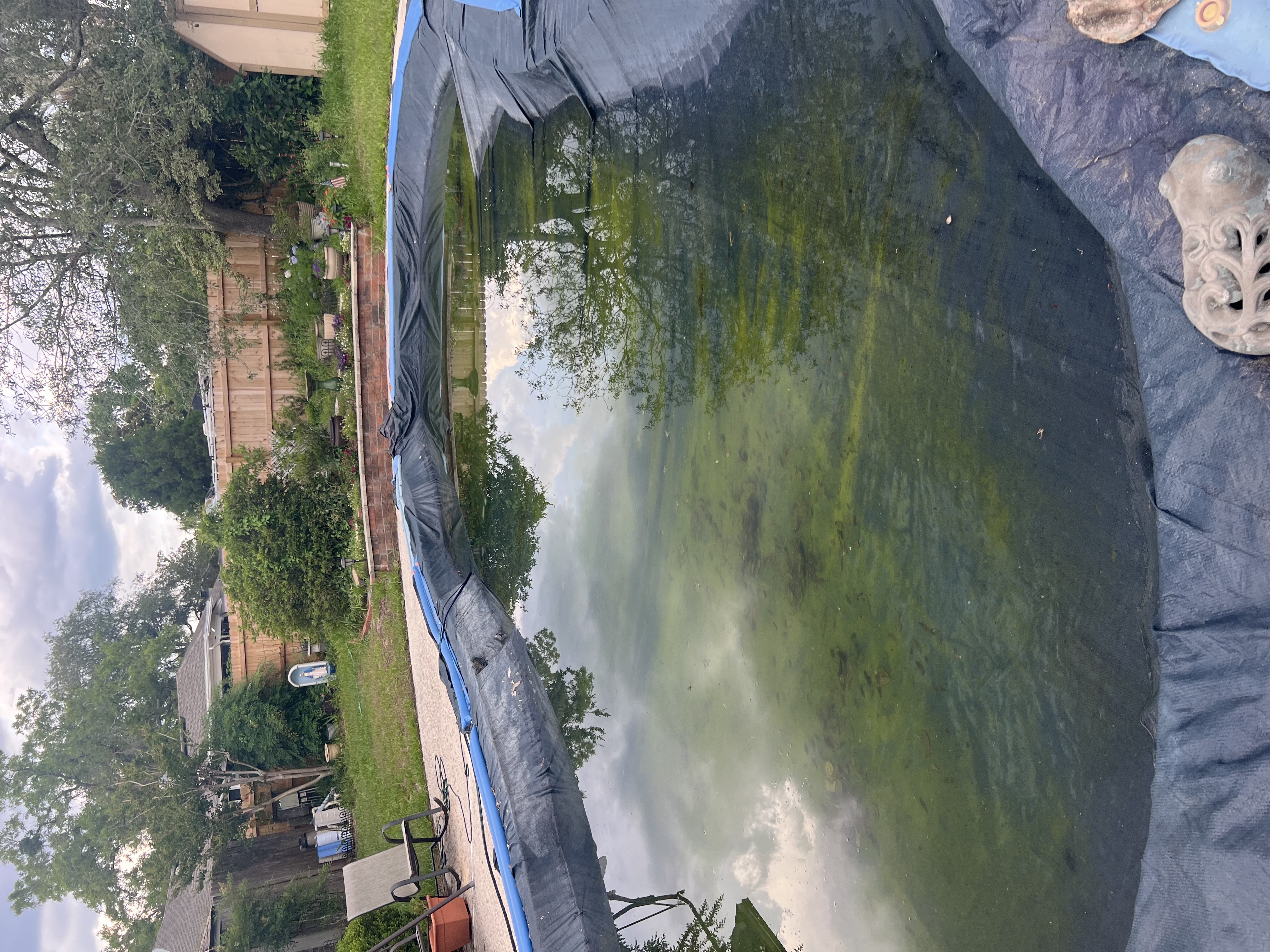 Pelican Pool and Patio LLC Image