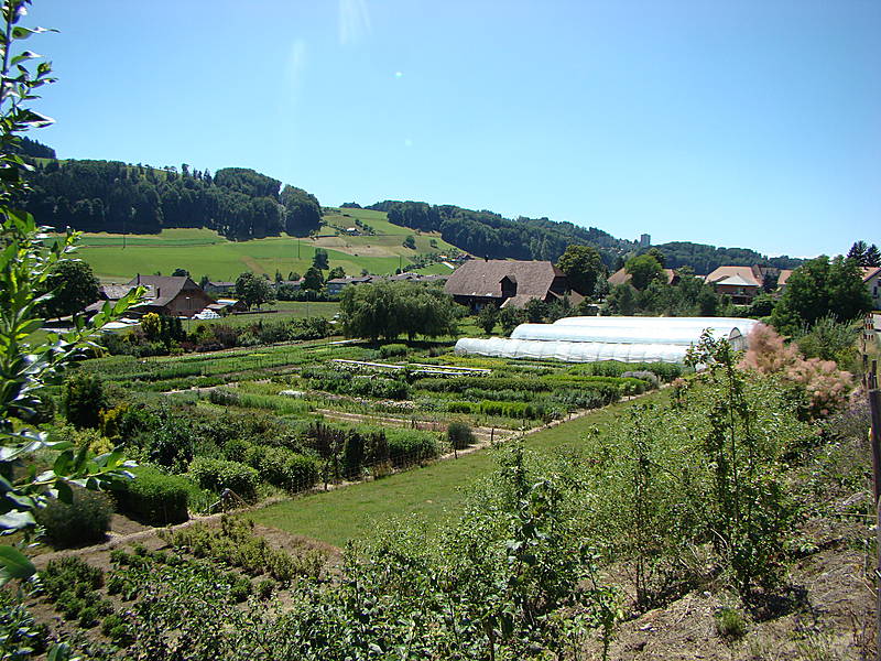 Galerie-Thumbnail