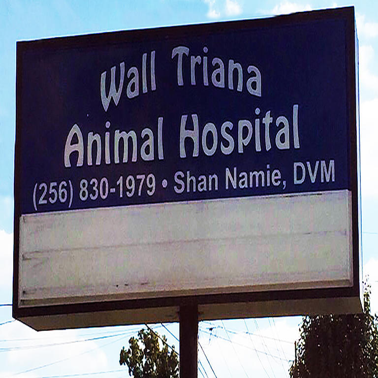 Wall Triana Animal Hospital Photo