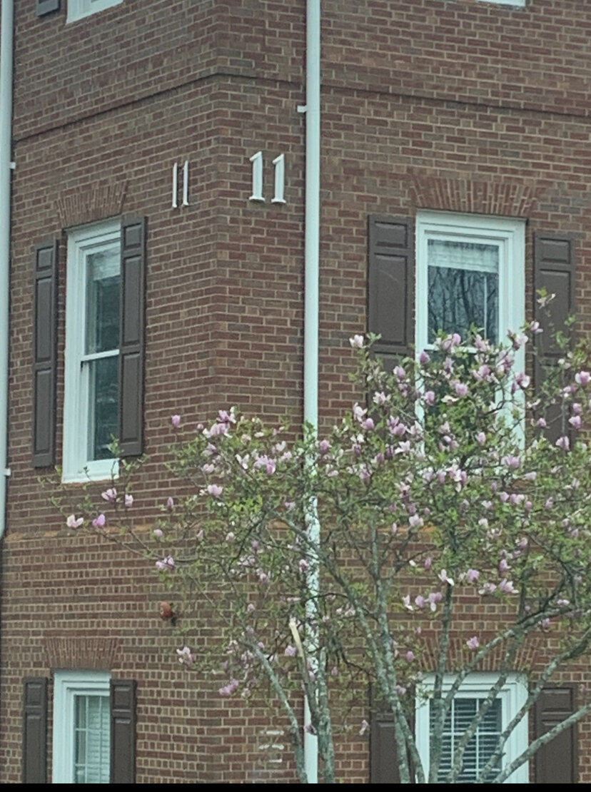 First Alternative Chiropractic Image