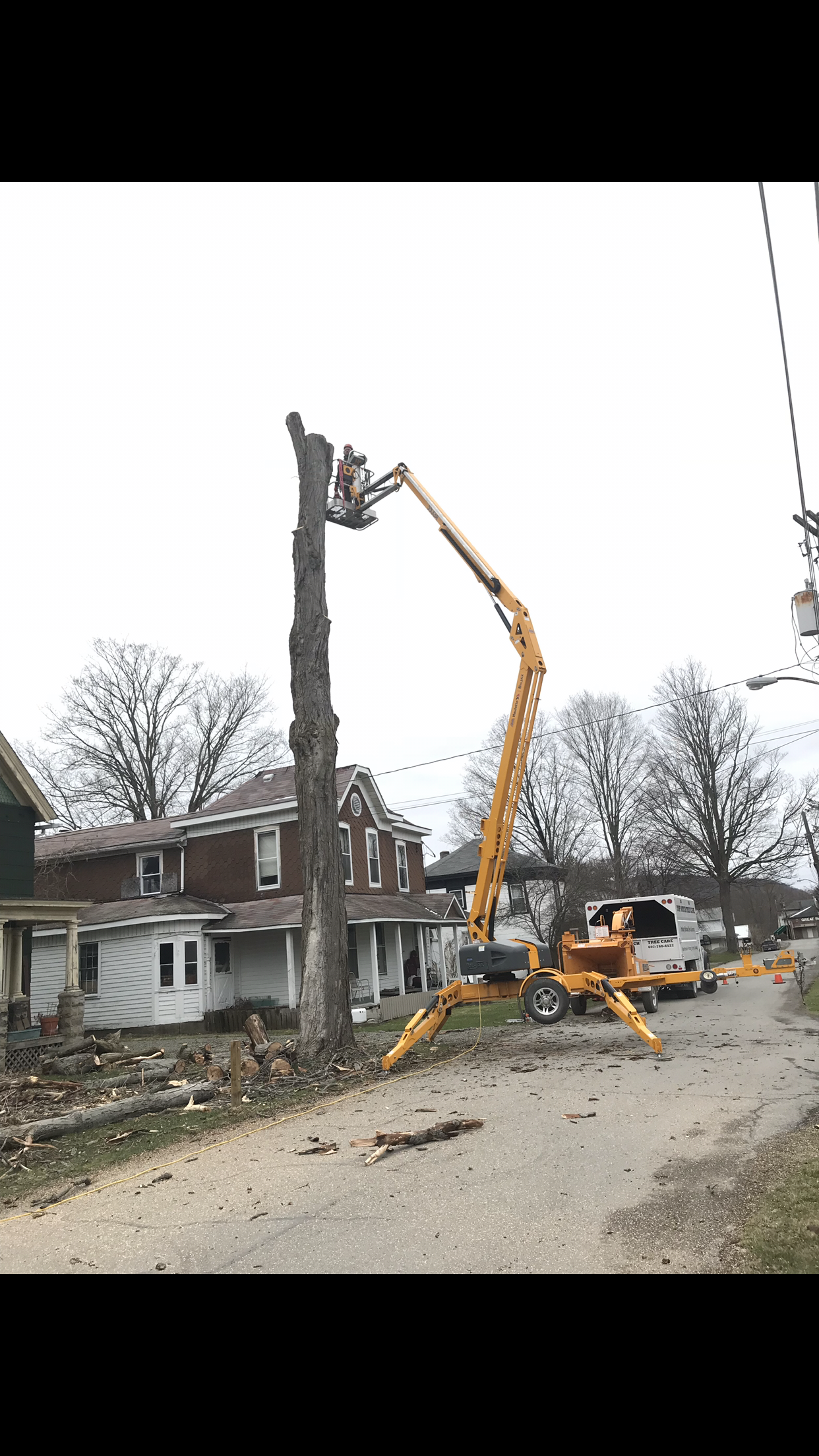 Top Notch Tree Care Photo