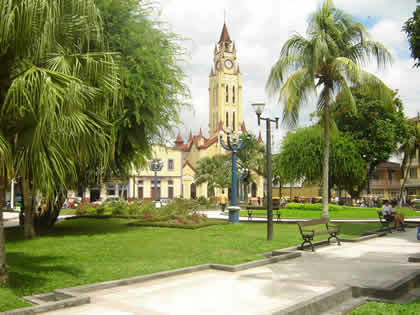 Galería en miniatura