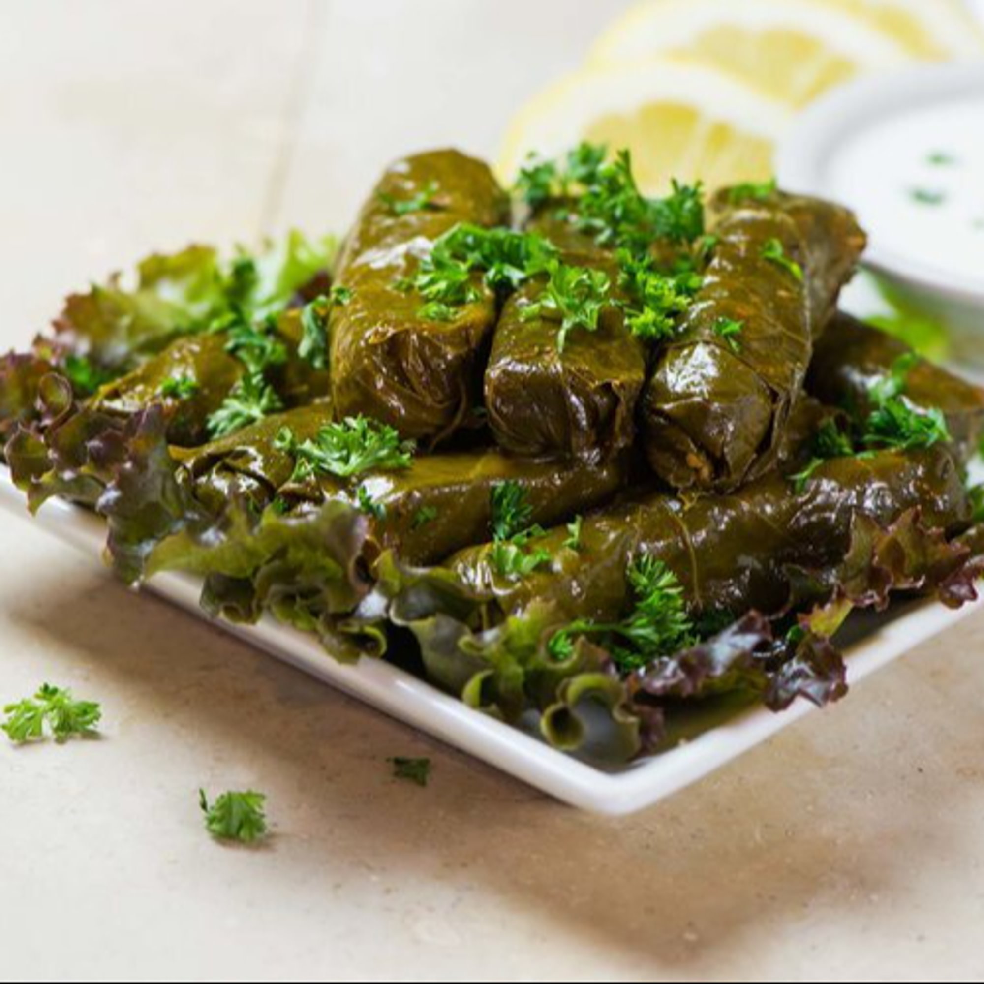 Veggie Grape Leaves