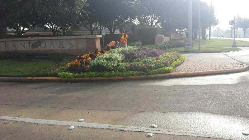 Design Landscaping & Tree Service Image